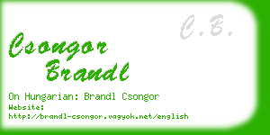 csongor brandl business card